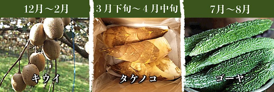 国産たけのこ通販の 伝承拓ファーム 福岡県産たけのこ キウイ ゴーヤ栽培 アートテン農法栽培 また当園では農業体験希望者を随時 募集しています